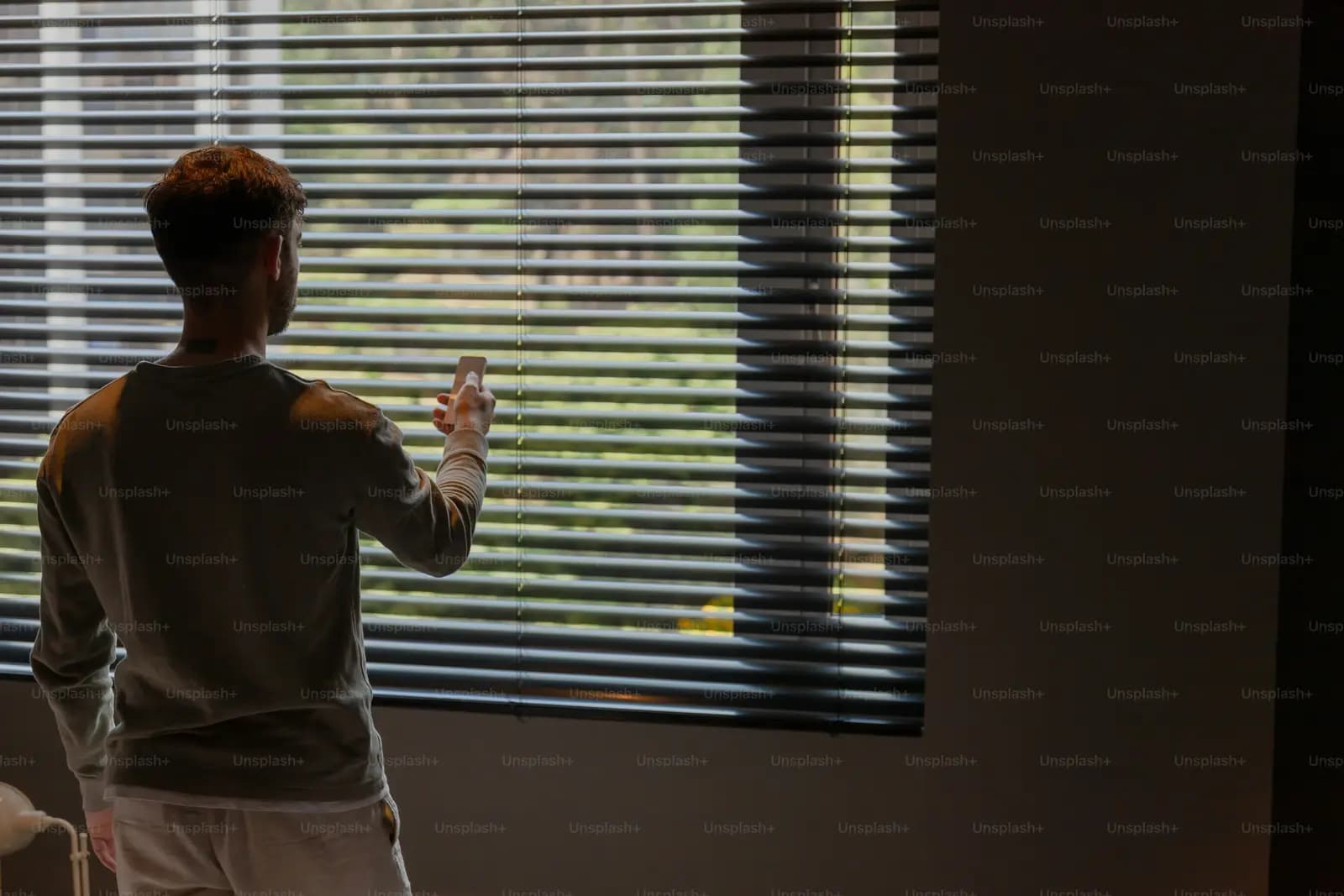 Motorised Blinds