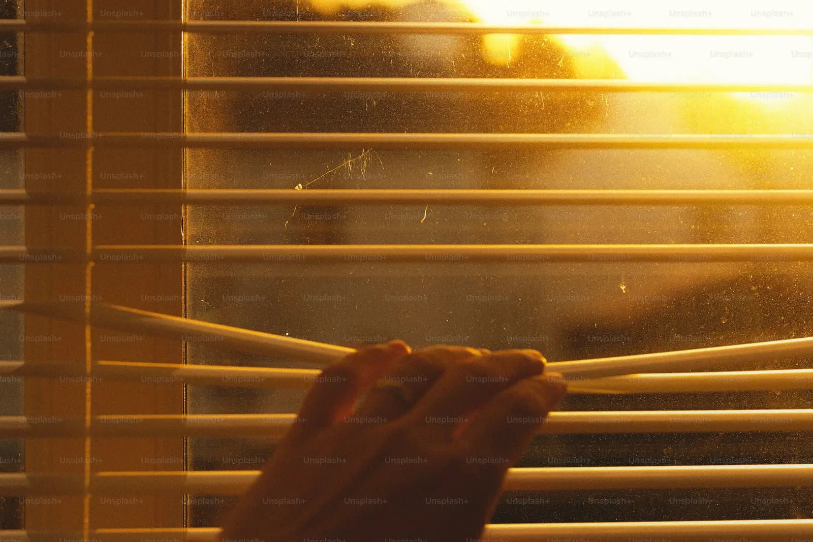 Venetian Blinds