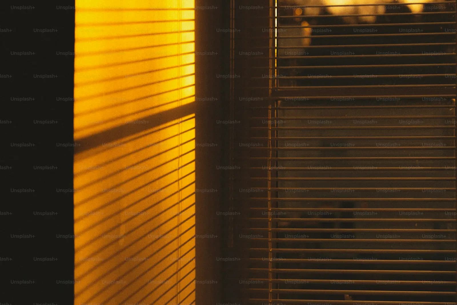 Zebra Blinds